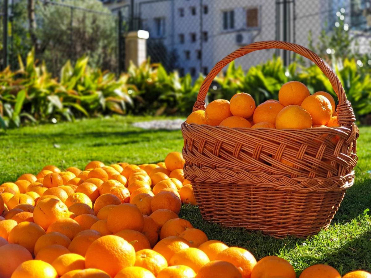 Apartament Ambience Dubrownik Zewnętrze zdjęcie